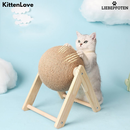 KittenLove❤️: Nie wieder Langeweile, Stundenlang Spiel und Spaß