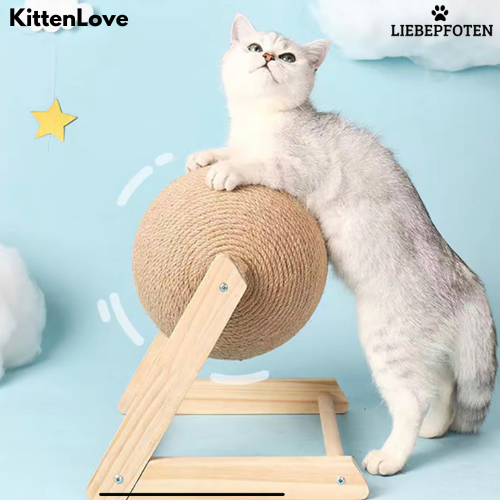 KittenLove❤️: Nie wieder Langeweile, Stundenlang Spiel und Spaß