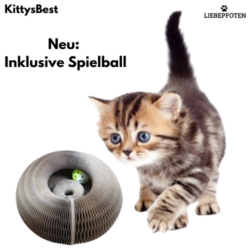 KittysBest nie wieder Langeweile  + Schutz für Deine Möbel. Neu: Inklusive Spielball!