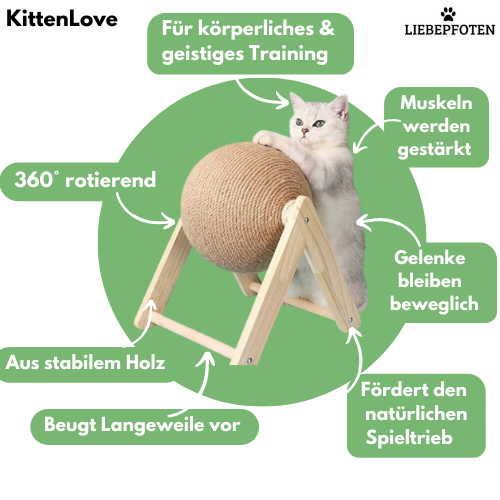 KittenLove❤️: Nie wieder Langeweile, Stundenlang Spiel und Spaß