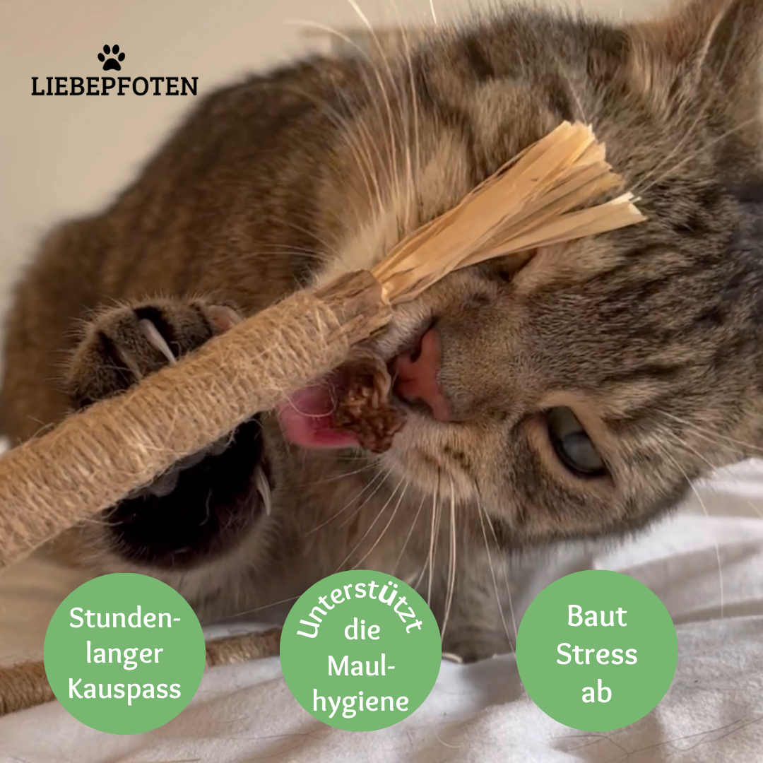 Liebepfoten Kauspaß &amp; Reinigungssticks - Unterstützt die Maulhygiene &amp; sorgt für mega Kauspaß