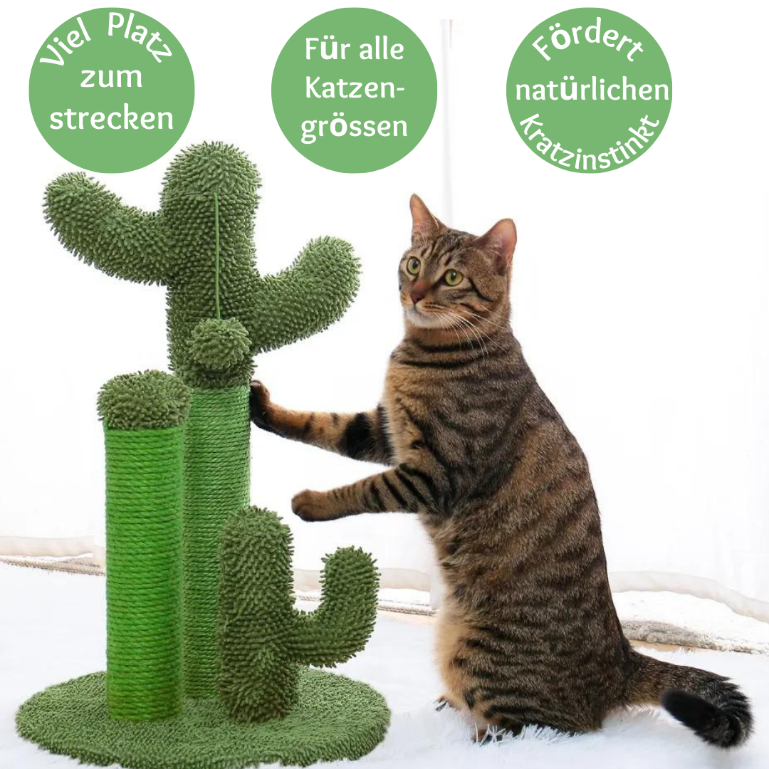 Liebepfoten 🌵KatzenKaktus: Schützt Deine Möbel &amp; sorgt für stundenlangen Kratz-Spaß