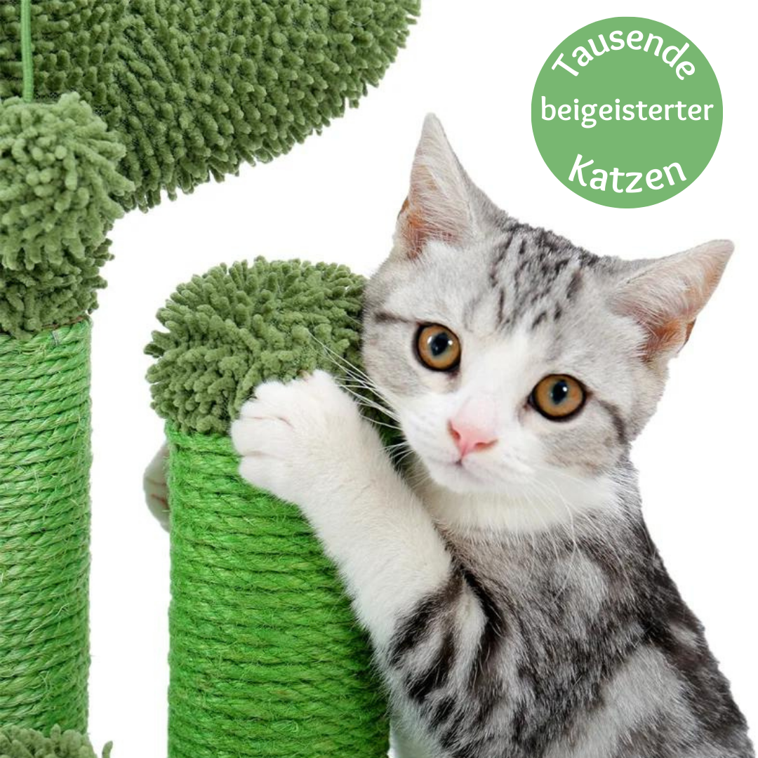 Liebepfoten 🌵KatzenKaktus: Schützt Deine Möbel &amp; sorgt für stundenlangen Kratz-Spaß