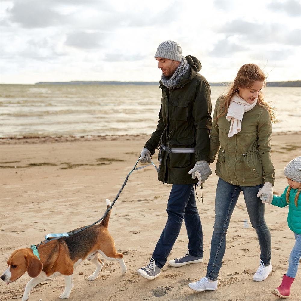 Leashy handsfree Hundeleine - Gassi gehen mit FREIEN HÄNDEN! Die neue Freiheit für Dich und Deinen Hund!