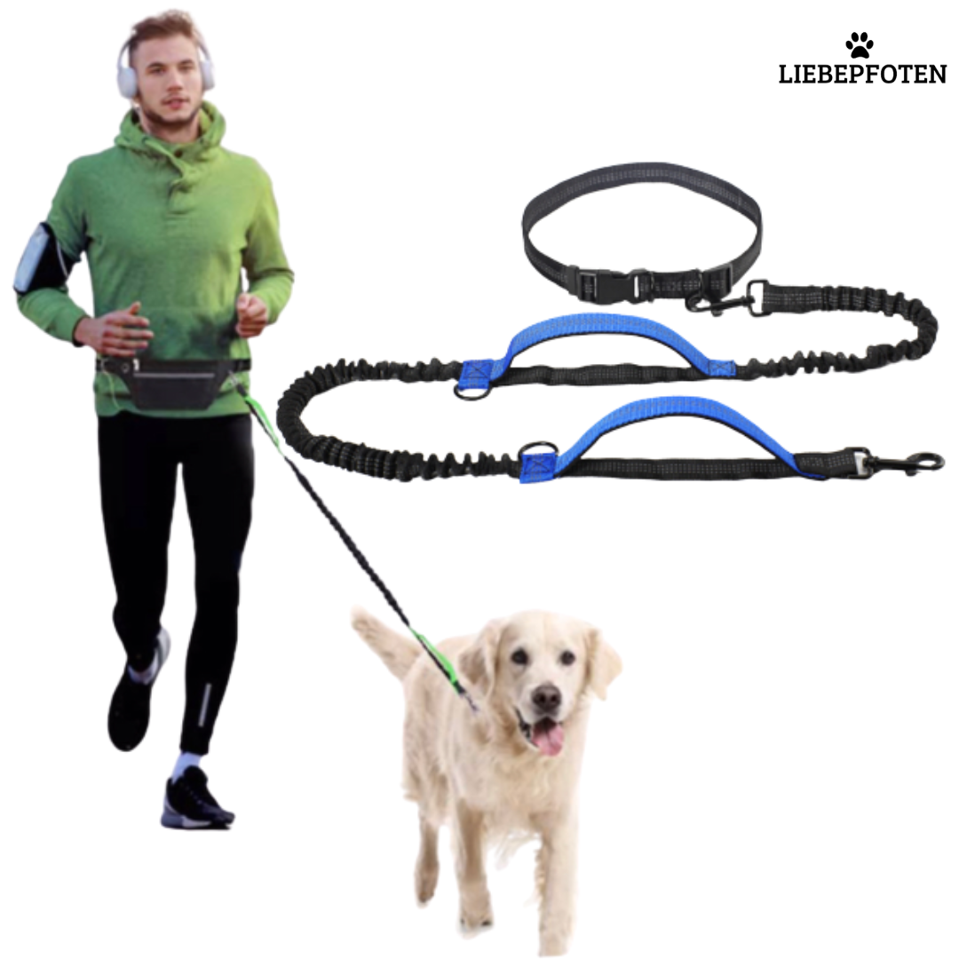 Leashy handsfree Hundeleine - Gassi gehen mit FREIEN HÄNDEN! Die neue Freiheit für Dich und Deinen Hund!