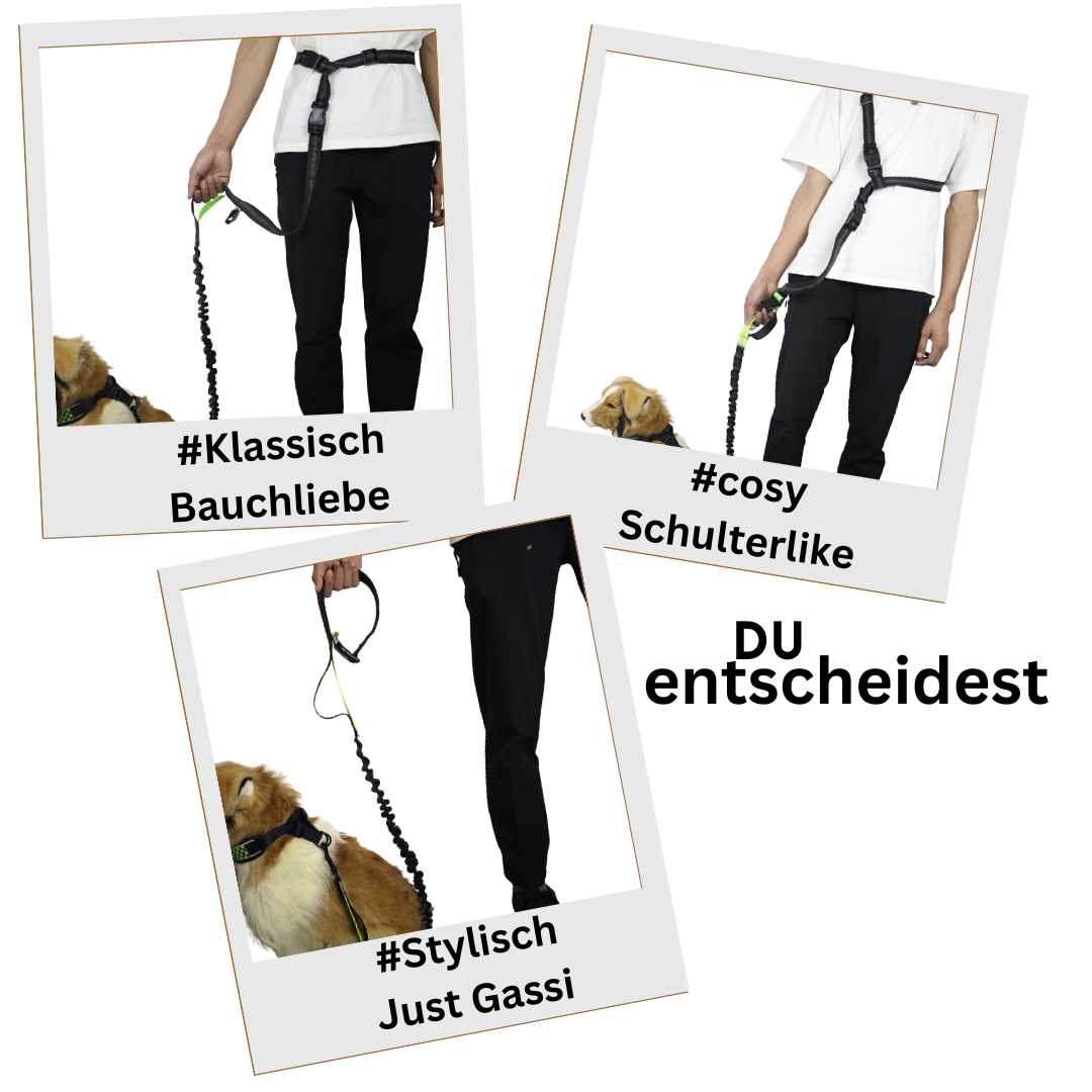 Leashy handsfree Hundeleine - Gassi gehen mit FREIEN HÄNDEN! Die neue Freiheit für Dich und Deinen Hund!