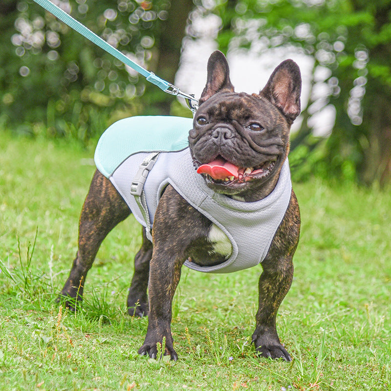 COOLIO vest, cooling and UV protection for your dog