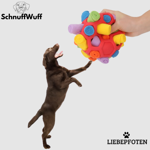 SchnuffWuff Stundenlang Spiel, Spaß &amp; schnüffeln