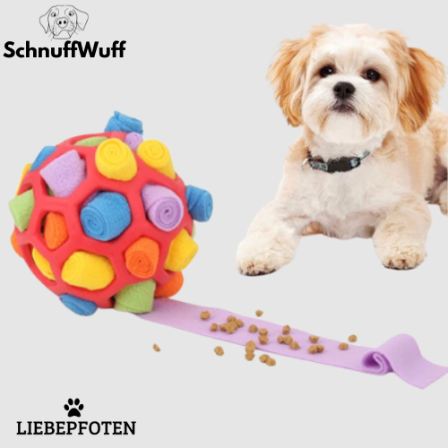 SchnuffWuff Stundenlang Spiel, Spaß &amp; schnüffeln