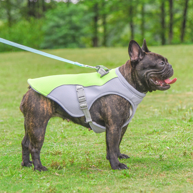 COOLIO vest, cooling and UV protection for your dog