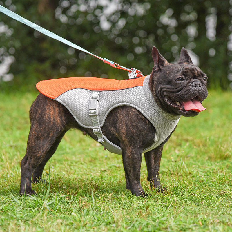 COOLIO vest, cooling and UV protection for your dog